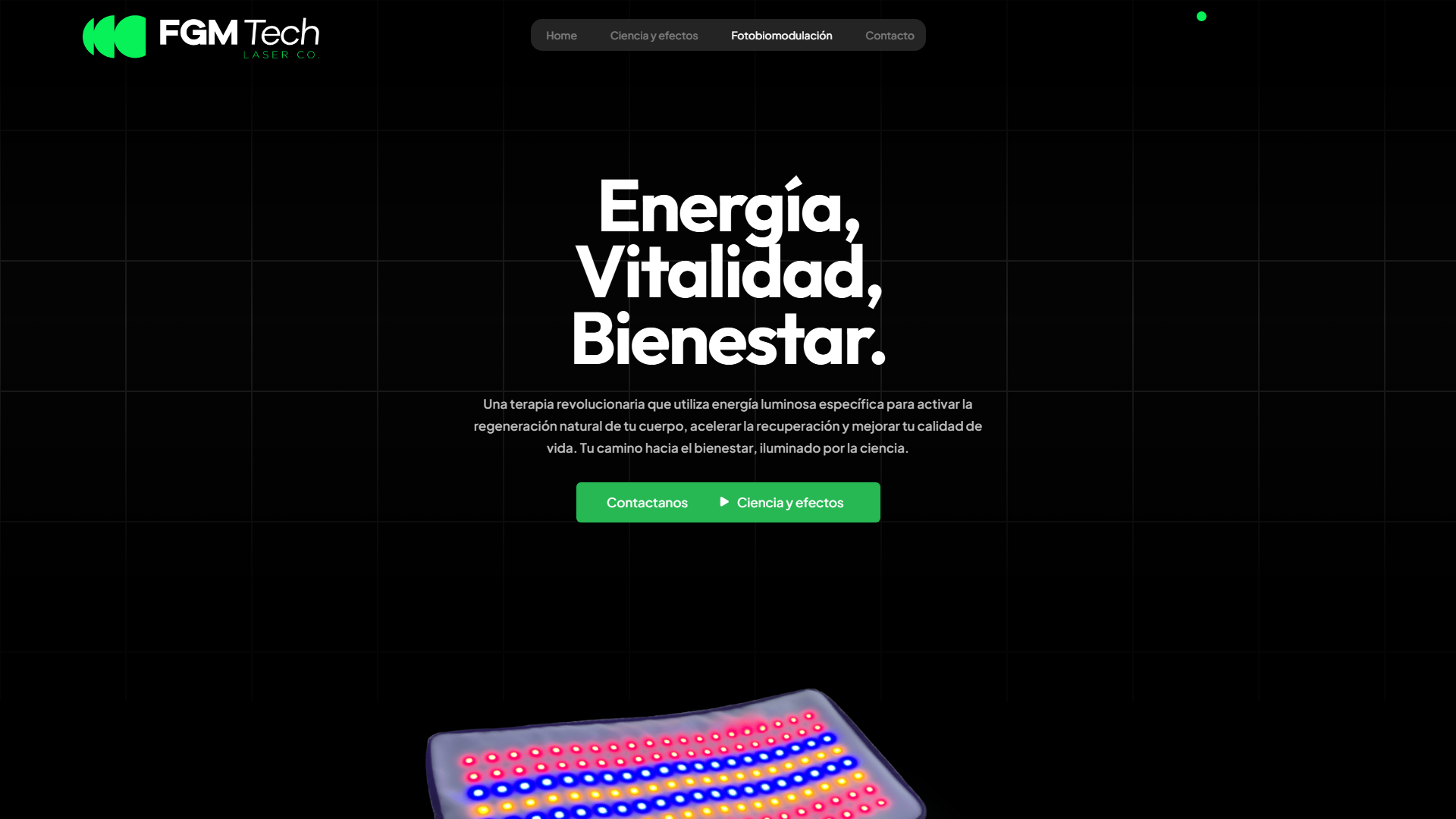 FireShot Captfgmtech.com .ar