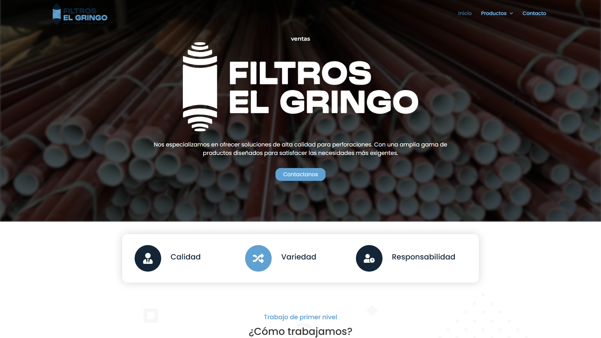 FireShot Capture 017 Filtros El Gringo Bombas Sugringo.com .ar
